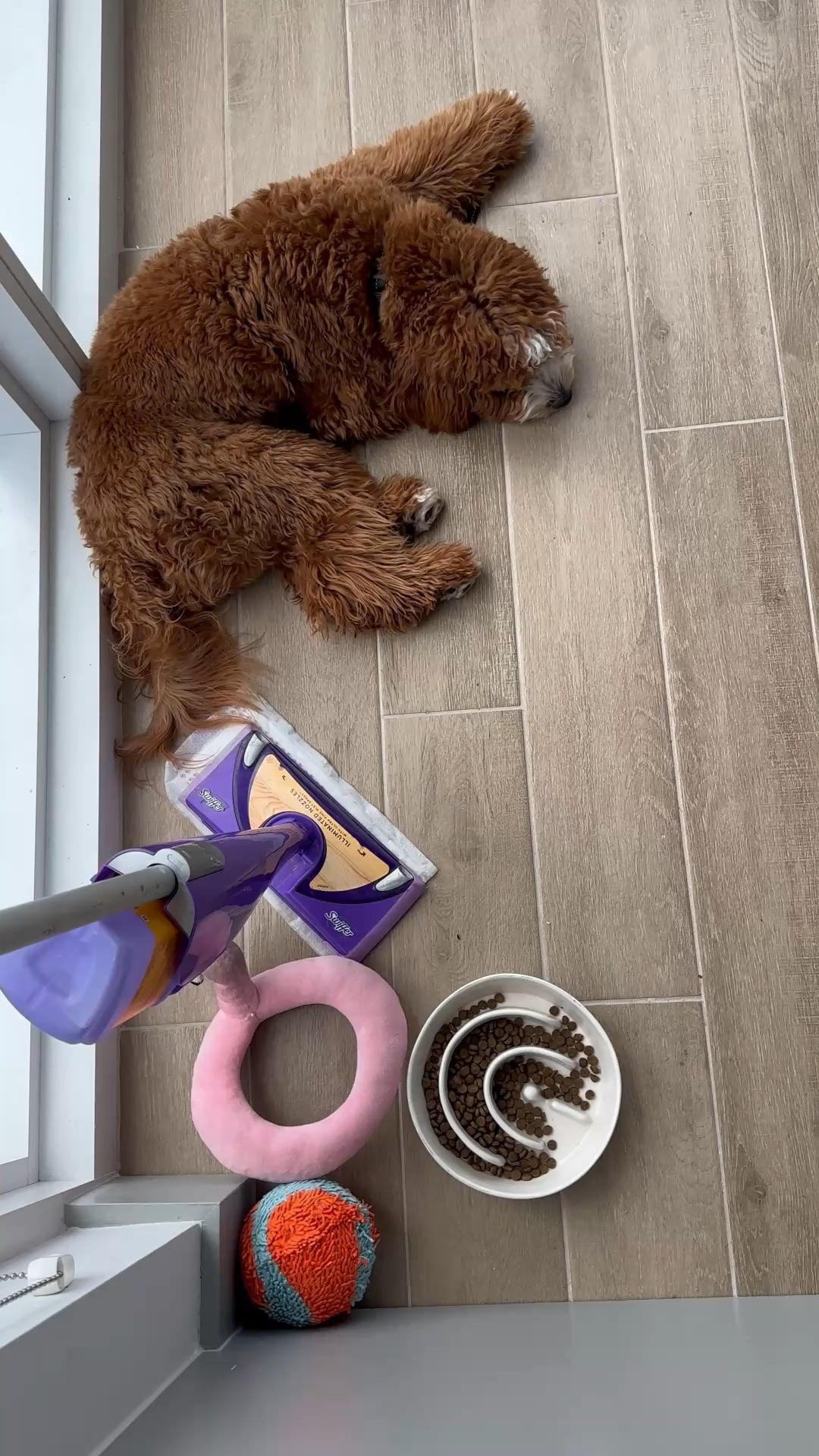 Daps enjoying a slow afternoon & cozy naps. 🐾💤🤎
#Daps #GoldenDoodle #DogMom #CozyAfternoon #SlowAfternoon #PawBaby #xoJalonda

#LTKmomlife #LTKHome #LTKBaby