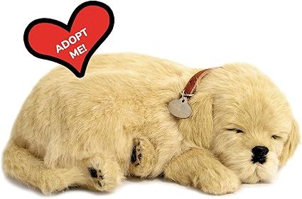 Original Petzzz Golden Retriever, Realistic, Lifelike Stuffed Interactive Pet Toy, Companion Pet ... | Amazon (US)