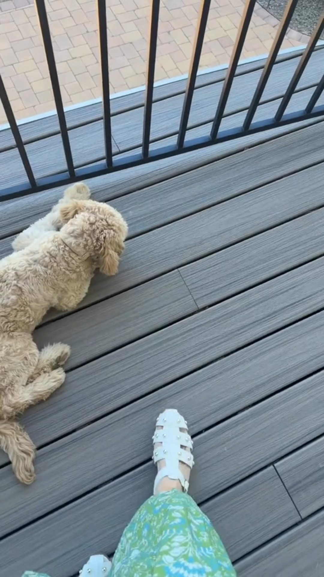 These shoes are such a favorite! 

#LTKFindsUnder50 #LTKSeasonal #LTKShoeCrush