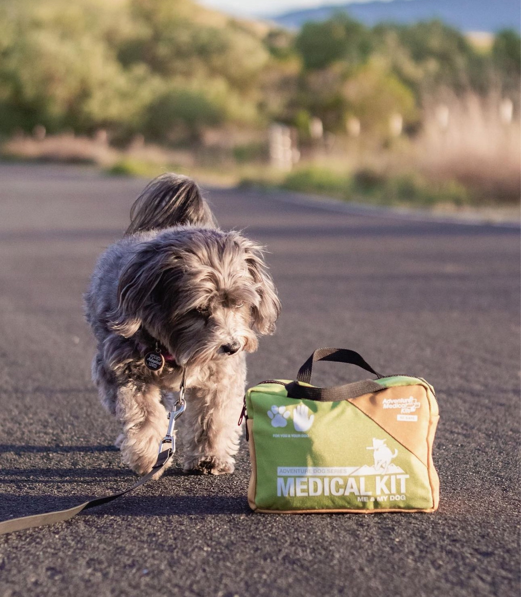 Adventure Dog Medical Kit - Me & My Dog. The best first aid kit to keep in the car & our backpack when hiking. You never WANT to use it but it sure is handy when things go wrong and you need it! 

#LTKTravel #LTKActive #LTKFamily