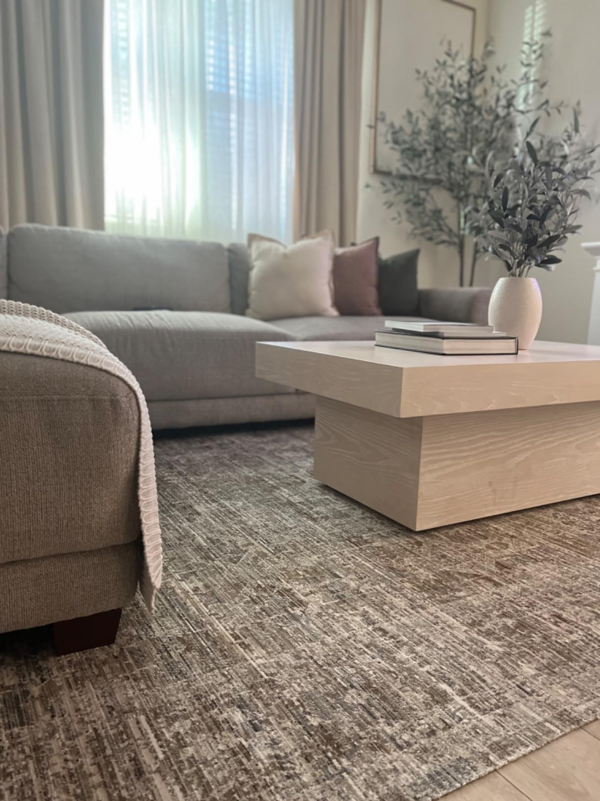 Surya x Becki Owens Ren Vintage Washable Outdoor Area Rug, 7'10" x 10', Brown Medallion, (8' x 10... | Amazon (US)