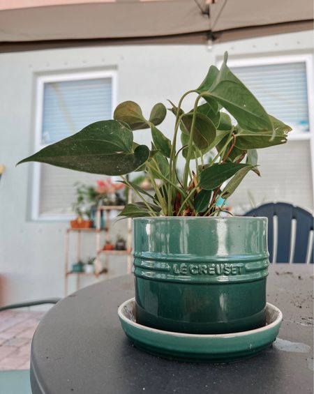 As far as great gifts for the home, this adorable little stoneware pot from Le Creuset is at the top of my shopping list! Tagging this exact herb pot along with more of my home gift guide picks here: 

#LTKhome #LTKGiftGuide #LTKfamily