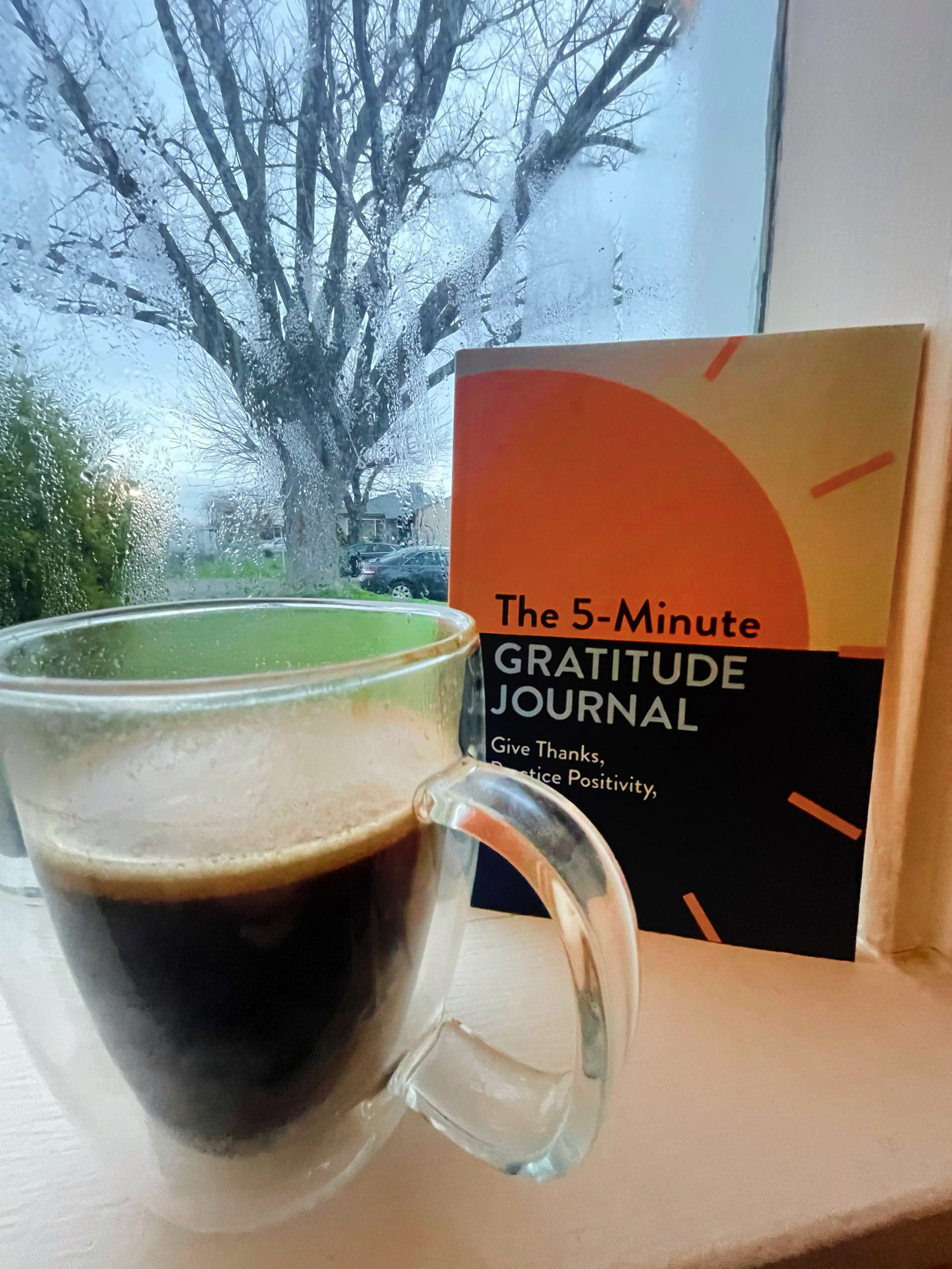 THIS JOURNAL! 
I have the popular 5-minute journal but let me introduce you to The 5-minute GRATITUDE Journal! 💗
It is full of positivity, quotes, and has the best little prompts with a couple lines to write in. So easy and yet so powerful. This would make the best gift for ANYONE! Only $10! 🤯

#LTKGiftGuide #LTKMostLoved #LTKbeauty