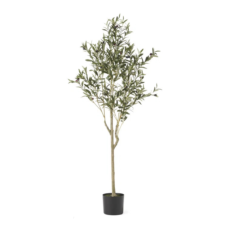 Aarav Artificial Olive Tree in Pot | Wayfair North America