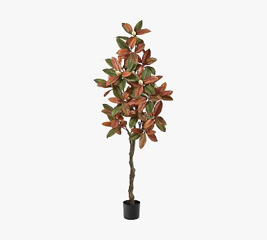 Faux Fall Magnolia Tree | Pottery Barn (US)