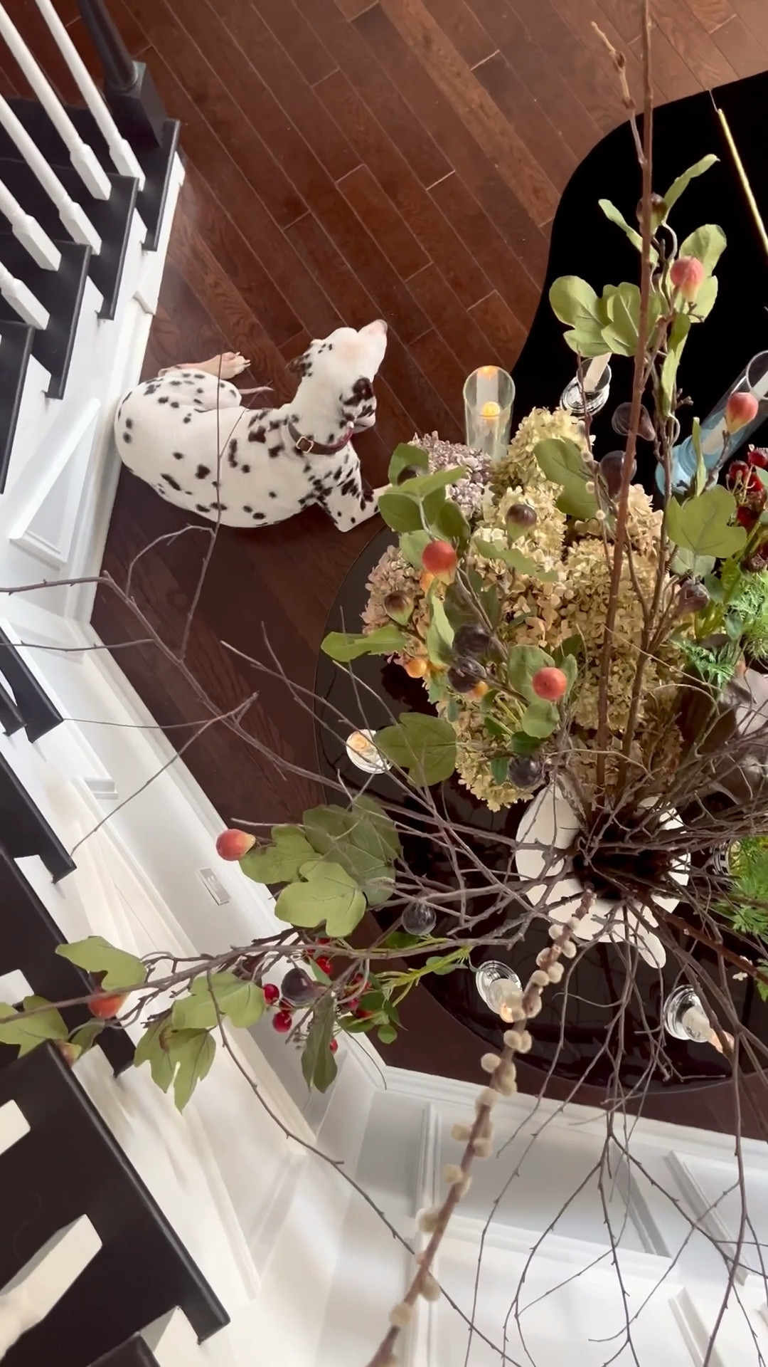 home organization

#LTKHome