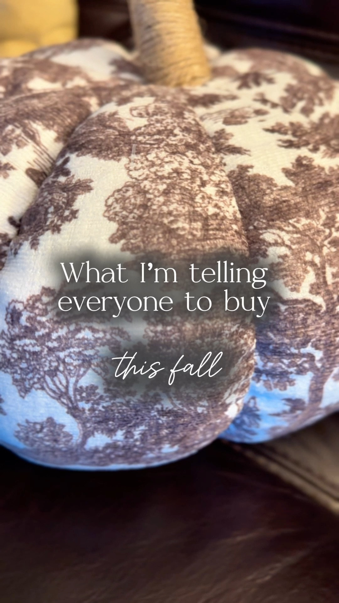 Walmart’s My Texas House line of fall pillows is stunning and so affordable. Here’s my favorite!

#walmart #falldecor #autumndecor #falldecorations #mytexashouse

Fall decor, fall decorations, autumn pillows, pumpkin pillows, brown fall pillows



#LTKSeasonal #LTKFindsUnder50 #LTKHome