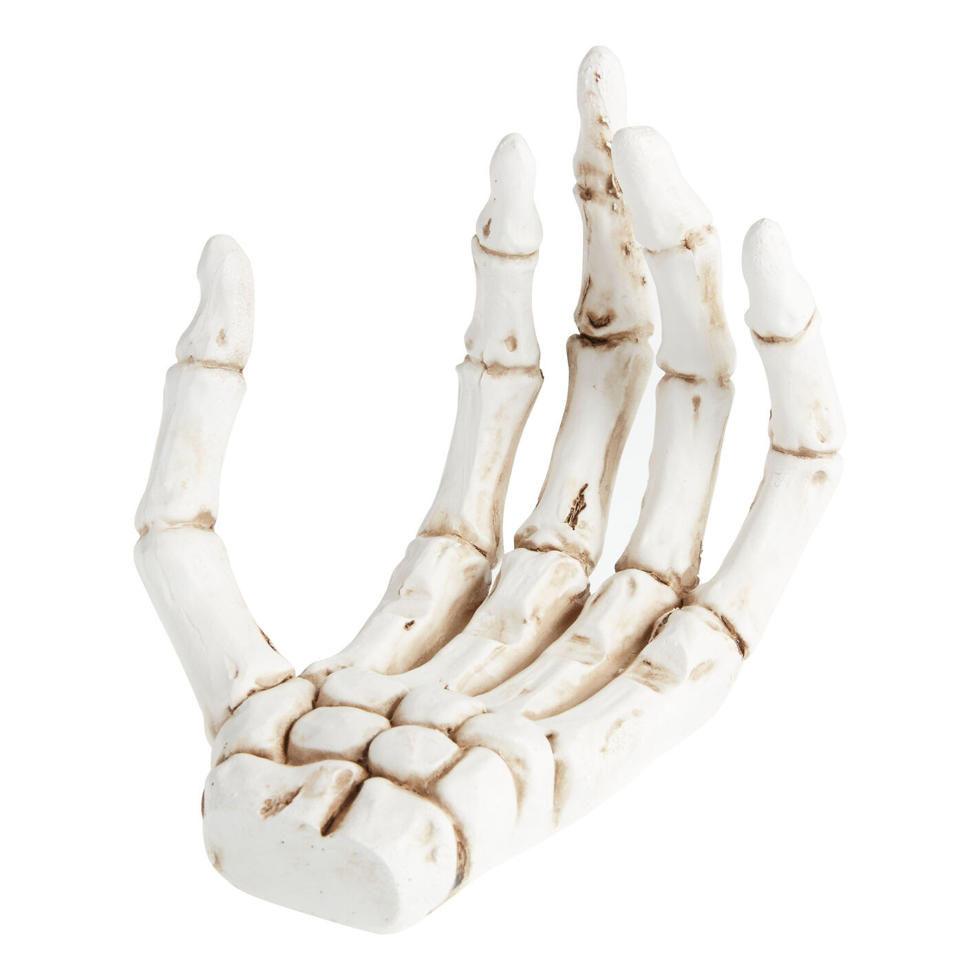 Ivory Skeleton Hand Halloween Decor | World Market
