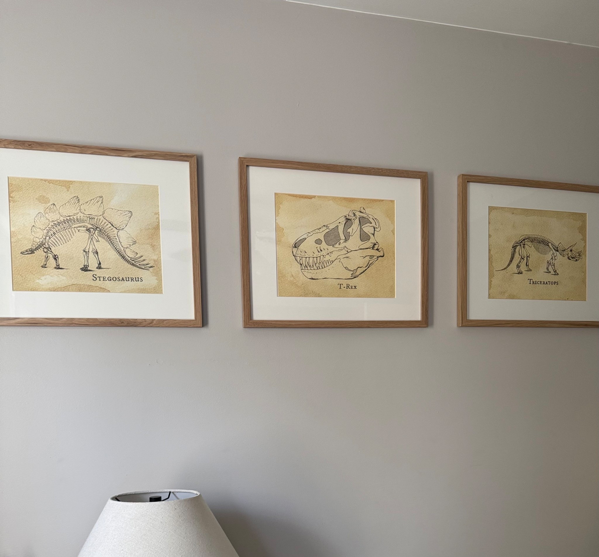 Kids Dinosaur Wall Art 

#LTKKids #LTKFamily #LTKFindsUnder50