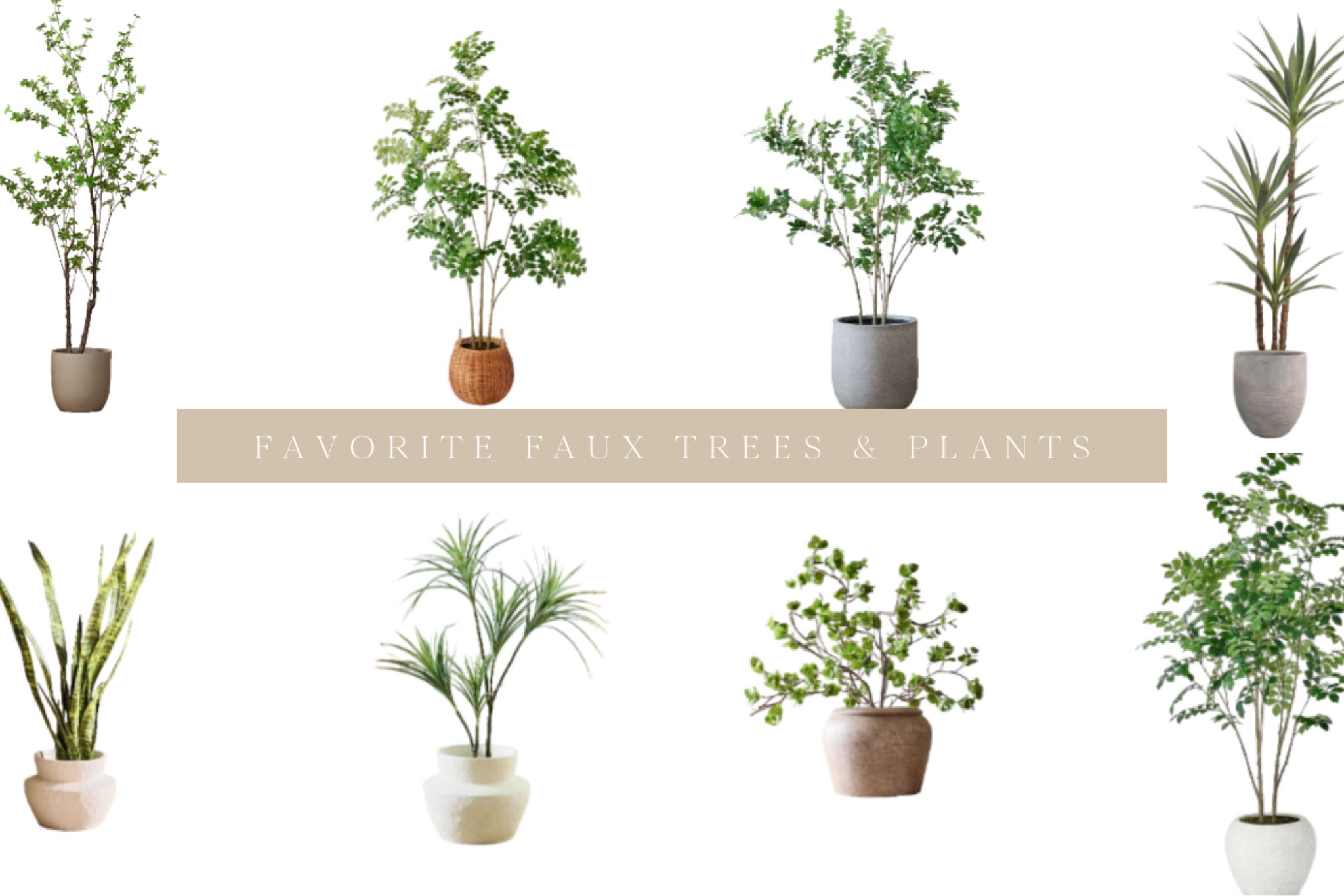 Faux trees

#LTKstyletip #LTKhome