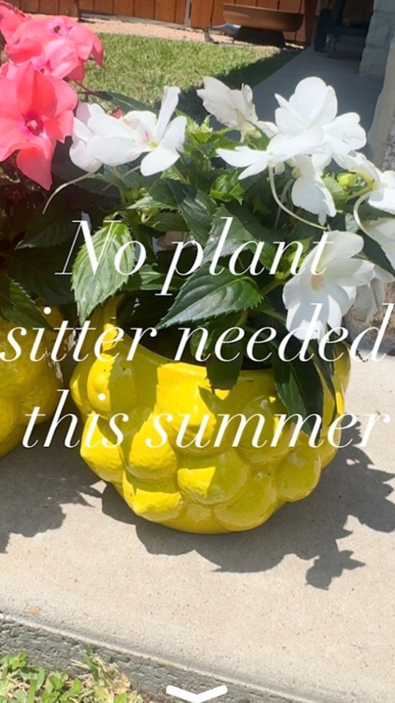 #ad Don’t need a plant sitter this summer!! These will water your plants for you for up to 2 weeks! One less thing to worry about when you travel! @Wayfair #wayfairpartner #outdoor #wayfair #wishyouwerehere

#LTKgrwm #LTKHome #LTKTravel