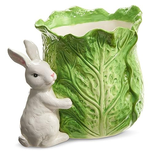 Raz Imports 2024 The Carrot Patch 9" Green Cabbage Container with Bunny | Amazon (US)