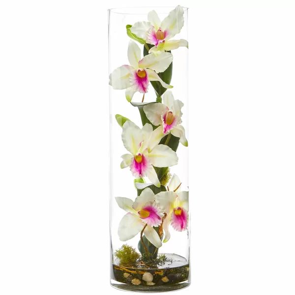 Cattleya Orchid Floral Arrangement in Vase | Wayfair North America