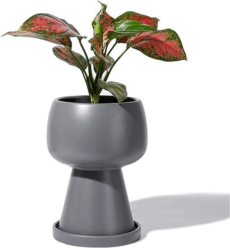 POTEY 054604 Flower Pot Indoor with Drainage Holes & Saucer - 4.9 Inch Glazed Ceramic Modern Uniq... | Amazon (US)