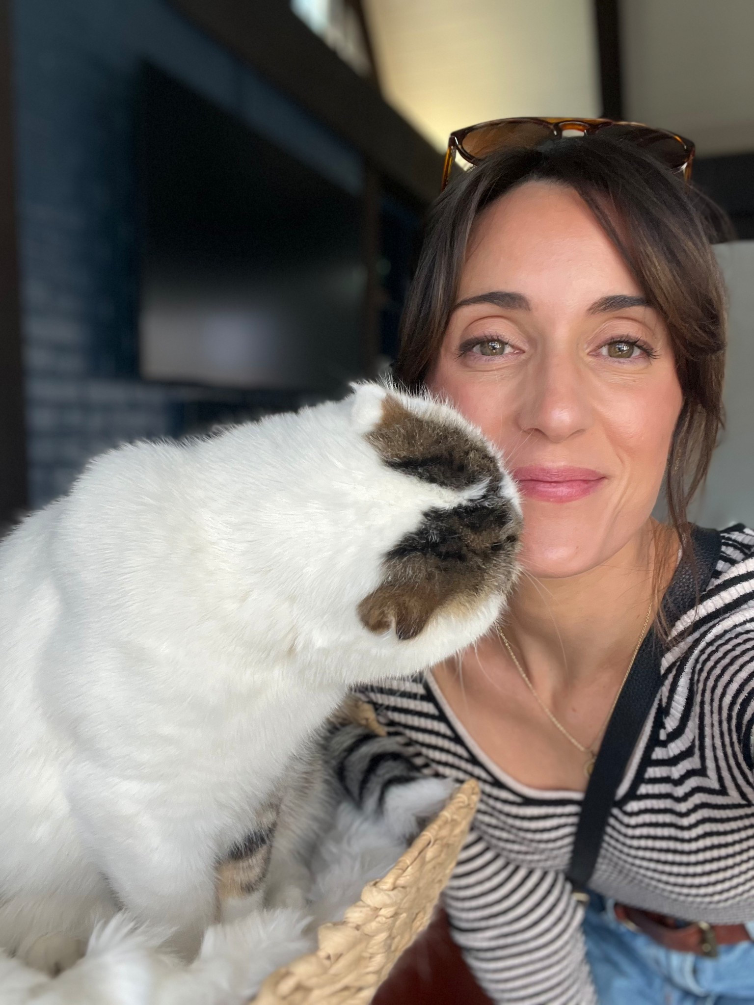 My drugstore makeup favorites all linked below! 

#LTKFindsUnder50 #LTKTravel #LTKBeauty