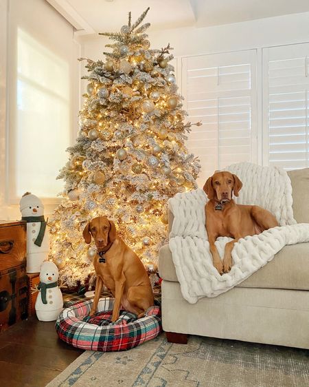 Christmas doggo bed linked 🐶 


#LTKGiftGuide #LTKunder100 #LTKHoliday