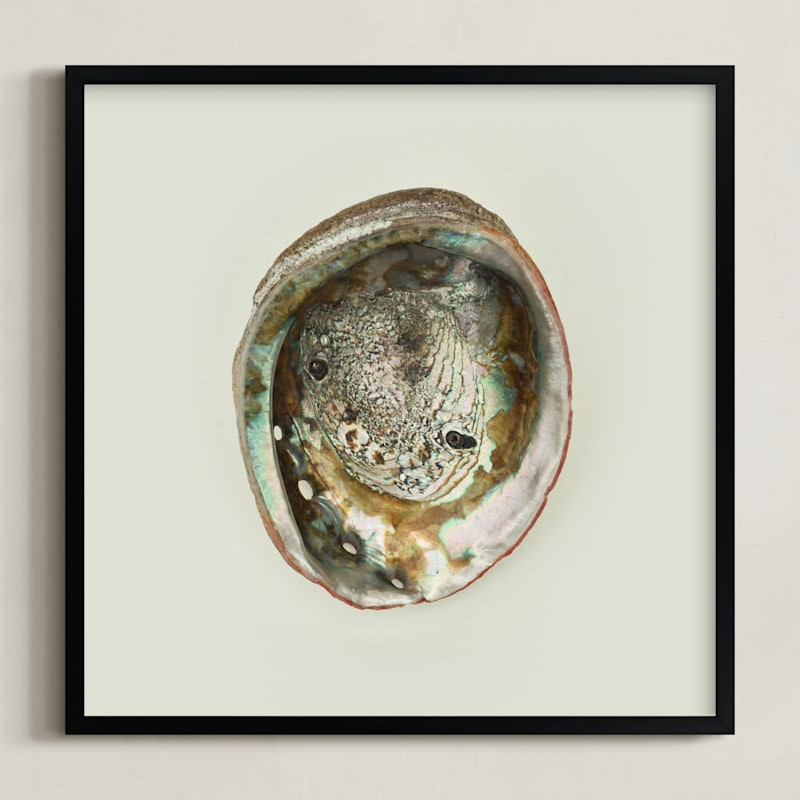Abalone Shell | Minted
