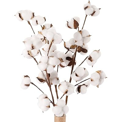 DomeStar Cotton Stems, Natural Dried Cotton 8 Packs Total 15 Bolls Cotton Sprigs Cotton Blooms Flora | Amazon (US)