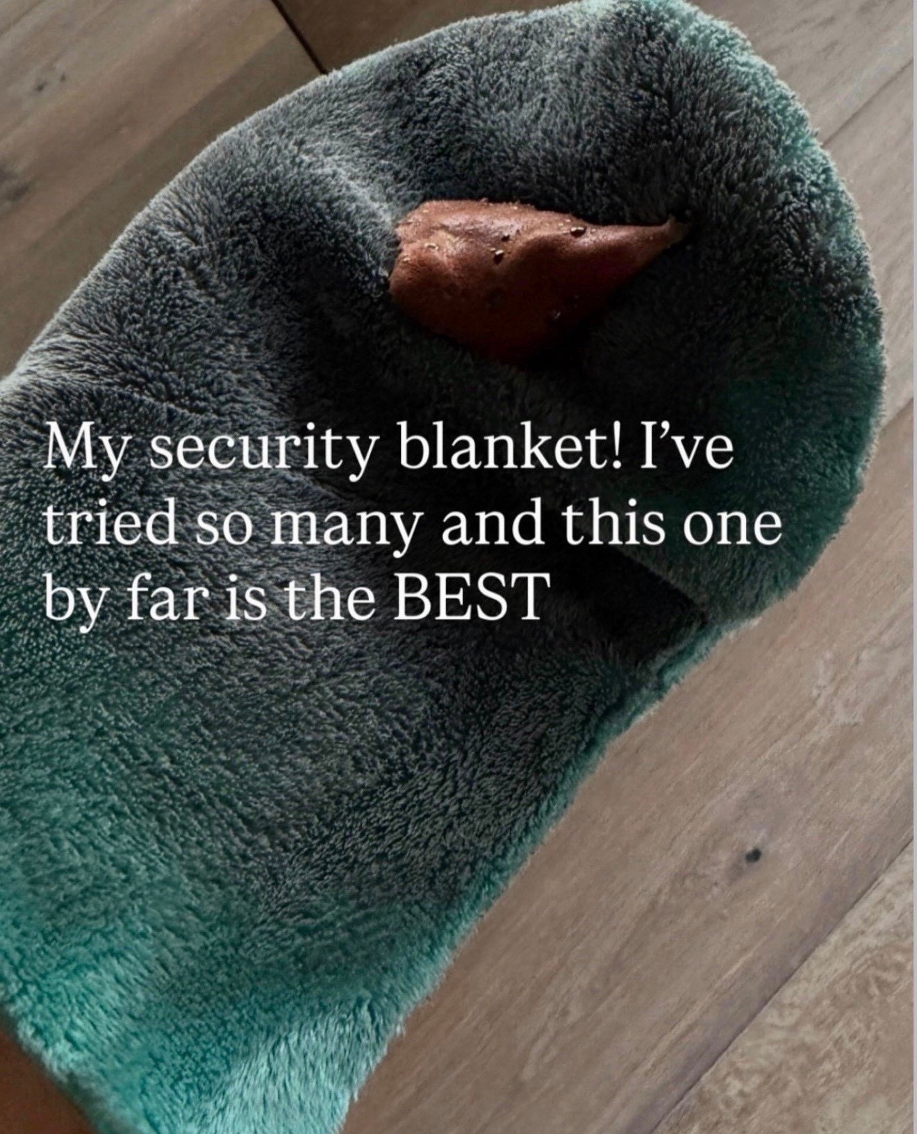 9 things worth packing on your next vacation… BTW when I’m feeling insecure slide 9 saves the day! 

#LTKSeasonal #LTKTravel #LTKBeauty