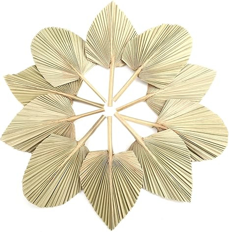 Natural Dried Palm Leaves Real Palm Leaves Decor Boho Palm Fans Tropical Palm Flowers Dried Palm ... | Amazon (US)