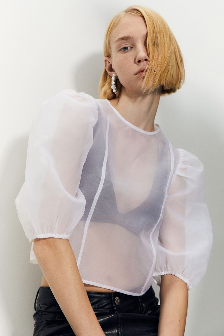 Puff-sleeved Organza Top | H&M (US + CA)