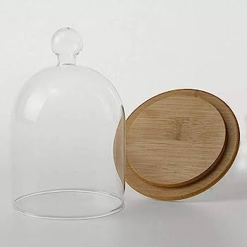Home Decor Vases Glass Flower Display Cloche Bell Jar Dome Immortal Preservation + Wooden Base Ev... | Amazon (US)