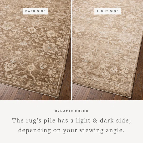 Chris Loves Julia x Loloi Palma Brown / Earth Area Rug | Wayfair North America