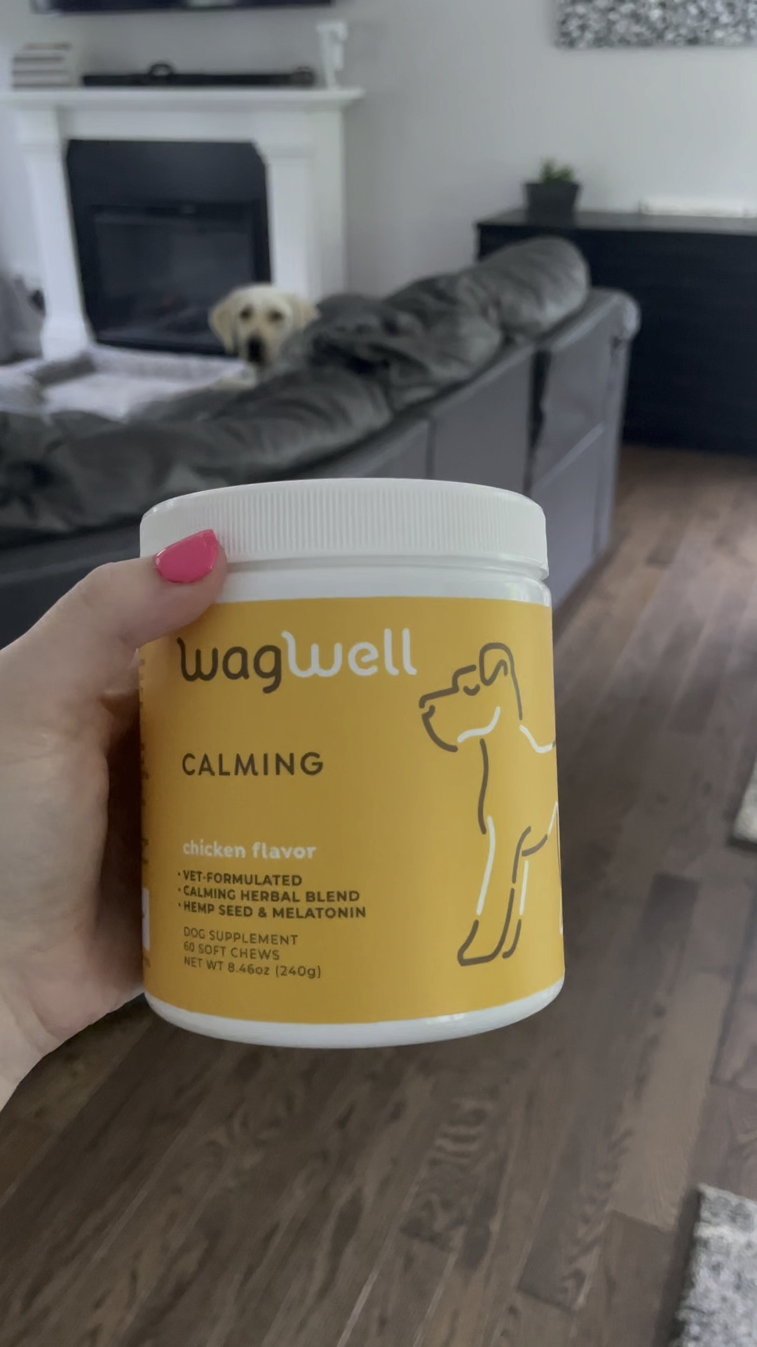 These are a great calming supplement for your dog

#LTKhome #LTKVideo #LTKfamily