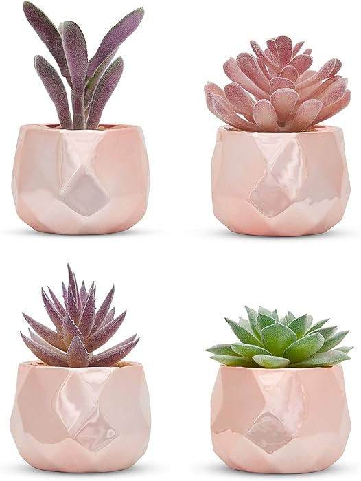 Nordik Set of 4 Desk Plants in Rose Gold - Office Decor for Women, Indoor, Living Room, Bedroom, ... | Amazon (US)