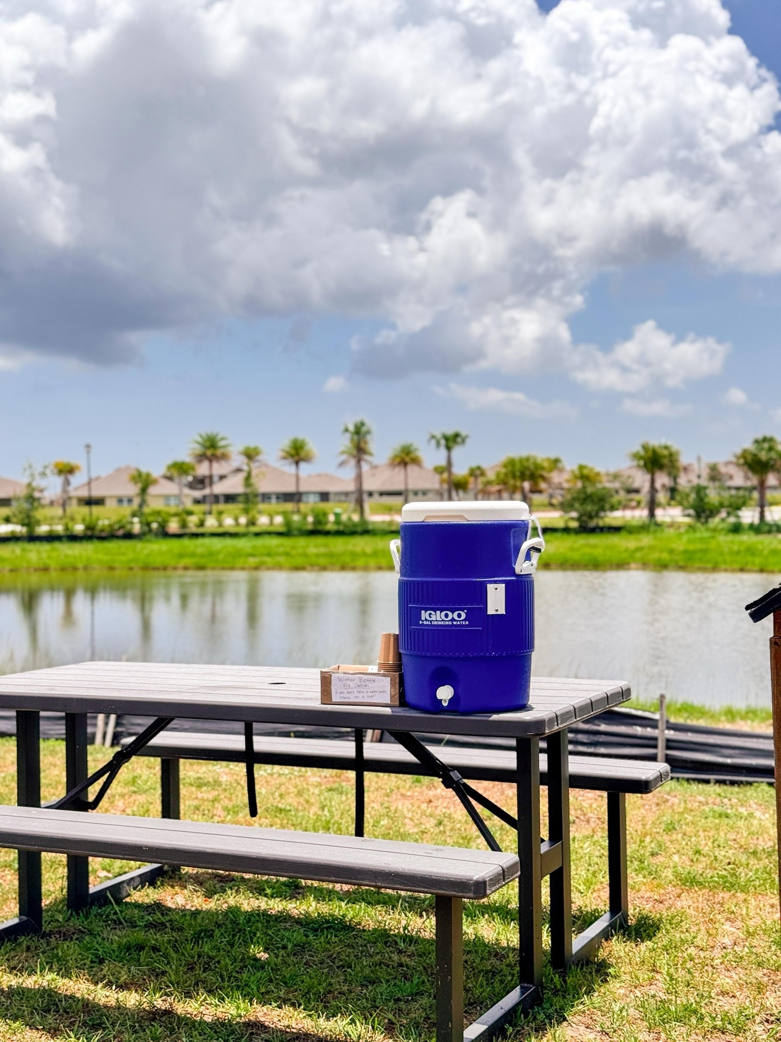 Outdoor water station for the kids this summer. Our house is the hang out house in the neighborhood and this makes sure everyone stays hydrated in the hot Florida sun!

#LTKmomlife #LTKKids #LTKSeasonal