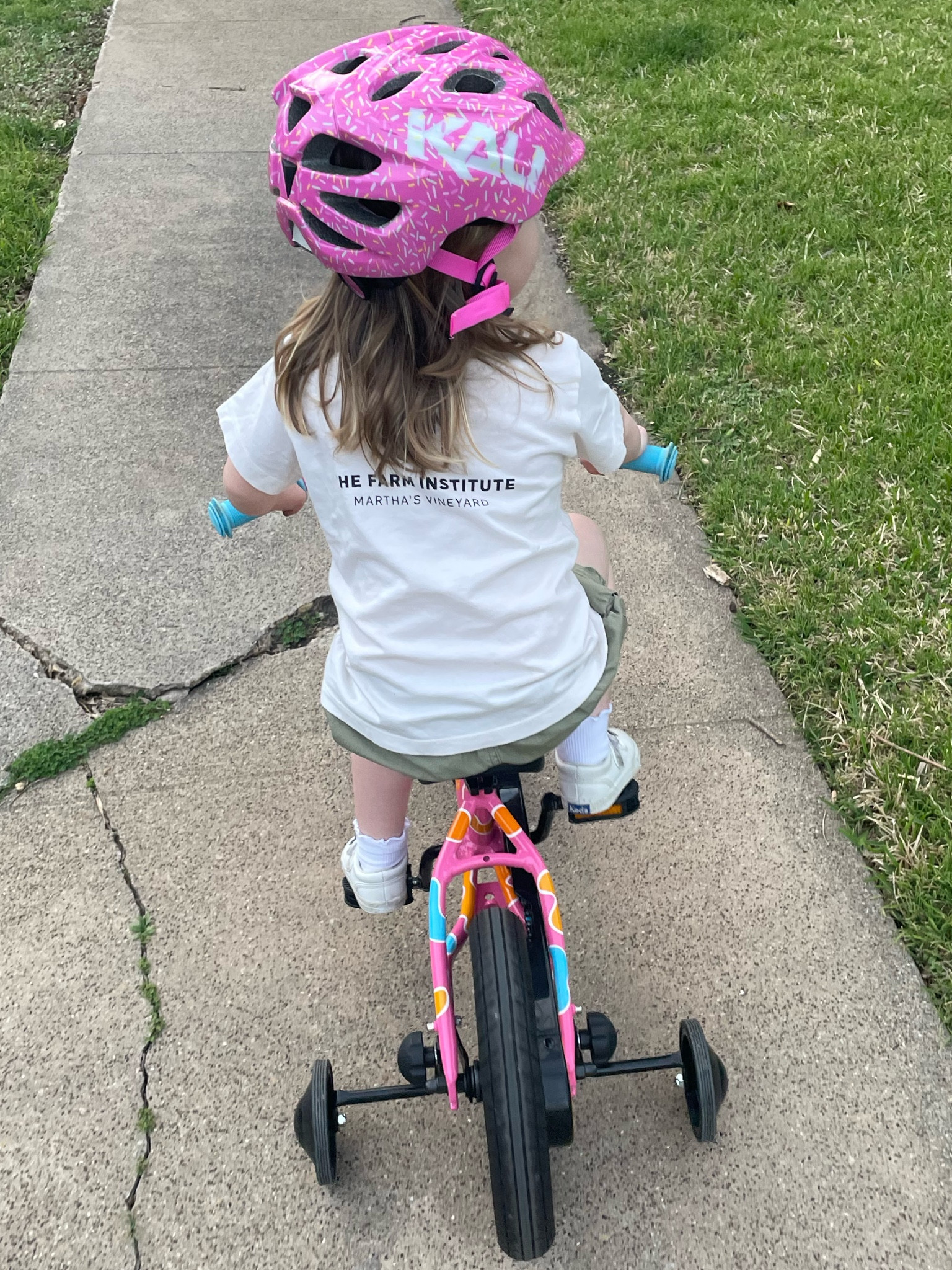 Toddler training wheel bike

#LTKkids #LTKfamily