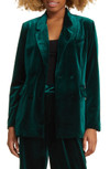 Click for more info about Velvet Blazer