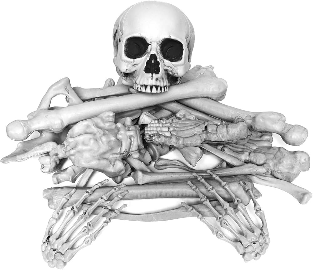 Gonioa Bag of Skeleton Bones and Skull for Best Halloween Decoration and Spooky Graveyard Scene, ... | Amazon (US)