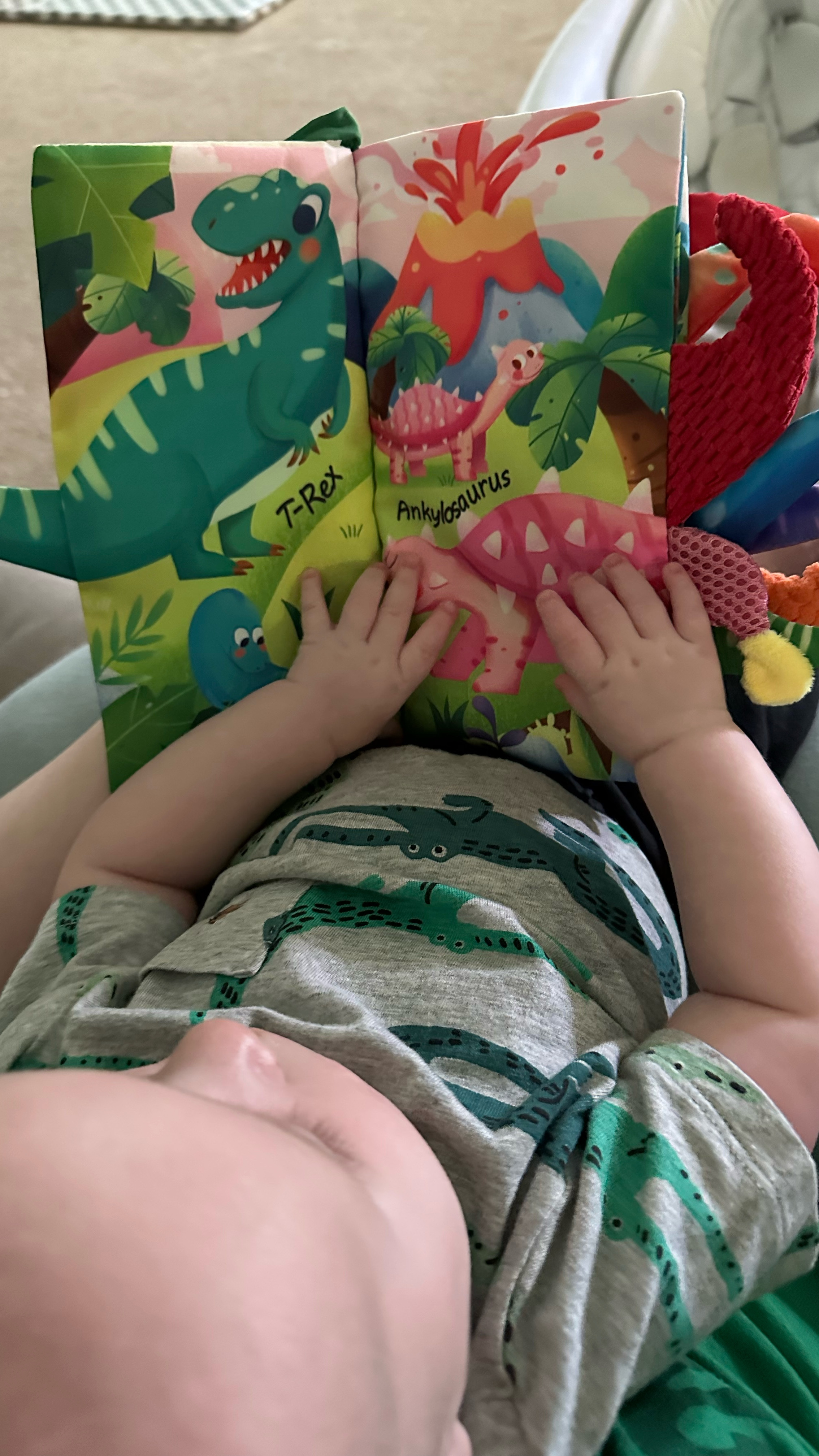 These animal tails crinkle books are my baby’s new favorite. With so many textures and bright colors, they’re a great learning tool. And they can be attached to a play gym, car seat, stroller, etc.

#LTKKids #LTKBump #LTKBaby