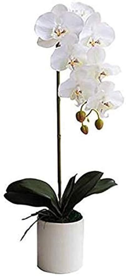 PFLife Artificial Orchid White in Pot 1 Stem Artificial Phalaenopsis Orchids Flowers with White V... | Amazon (US)
