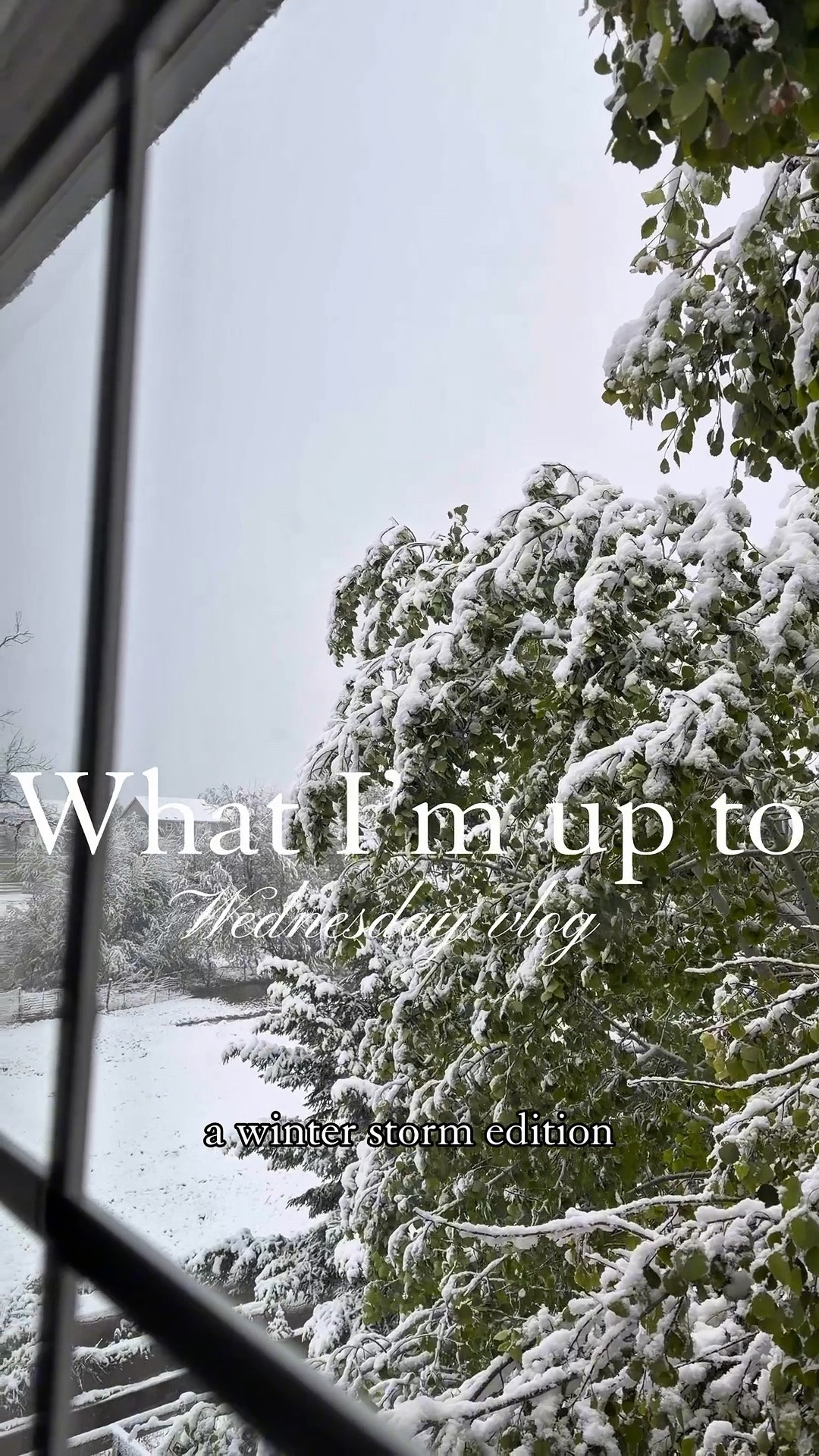What I’m up to Wednesday vlog! 

Weekday vlog, grwm, mom life, daily vlog

#LTKdayinmylife #LTKgrwm #LTKootd