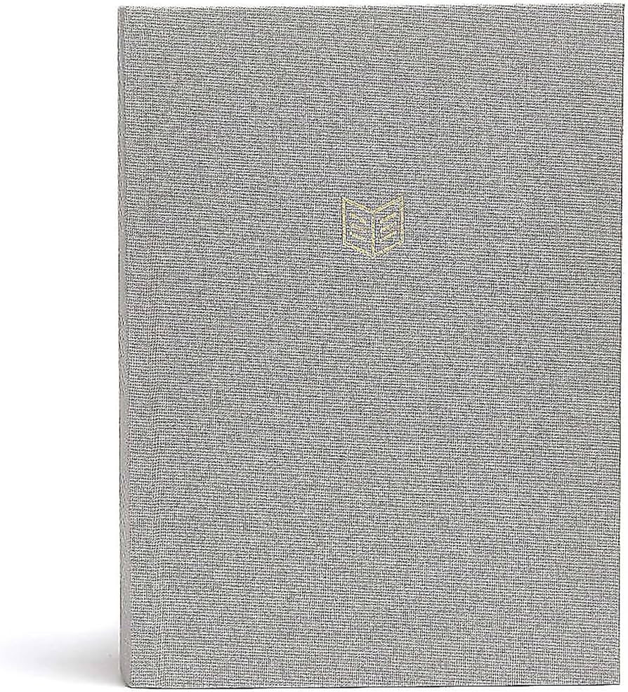 CSB She Reads Truth Bible, Gray Linen Cloth Over Board, Black Letter, Full-Color Design, Wide Mar... | Amazon (US)