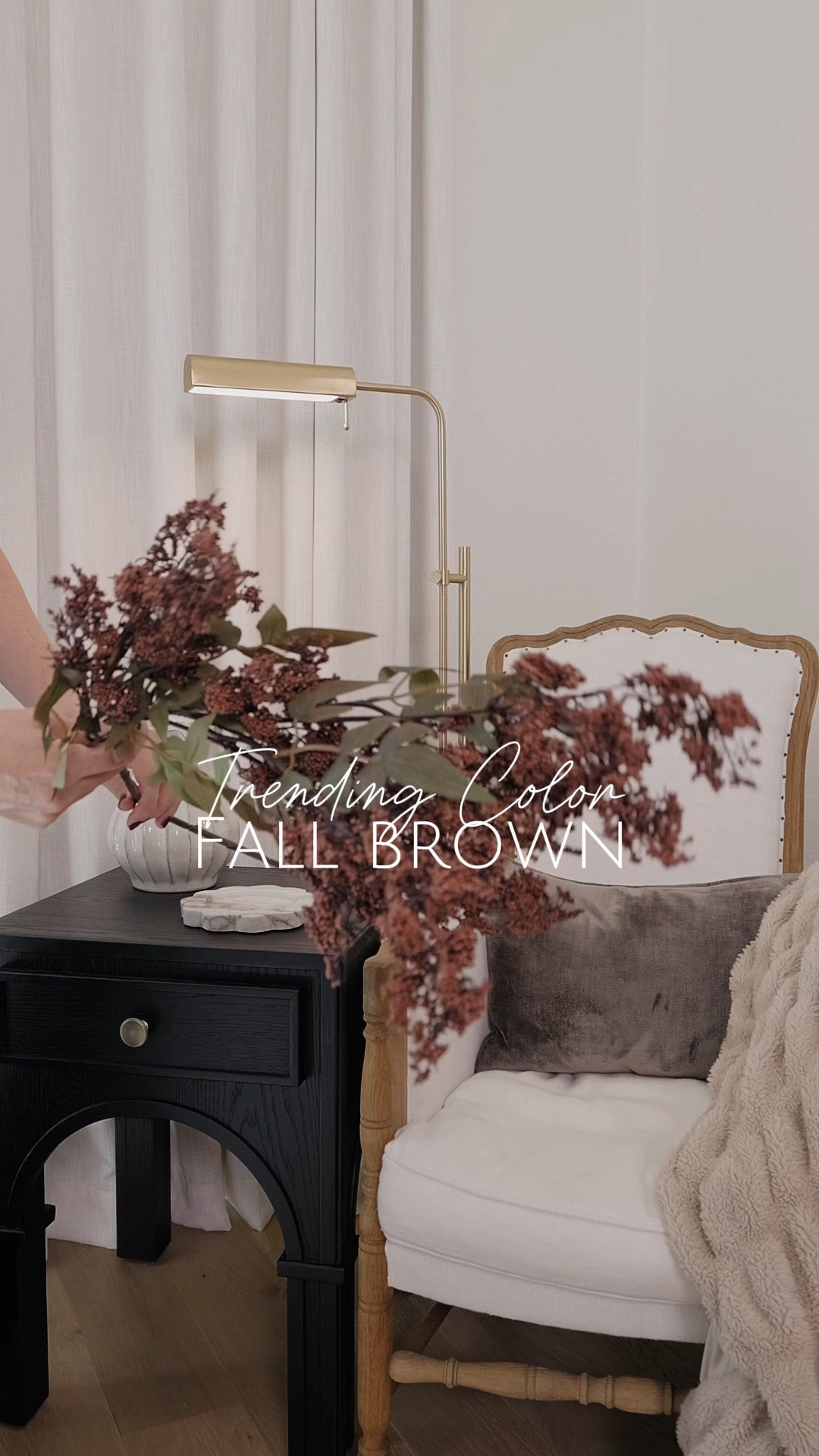 Brown Berry Stems 🍂