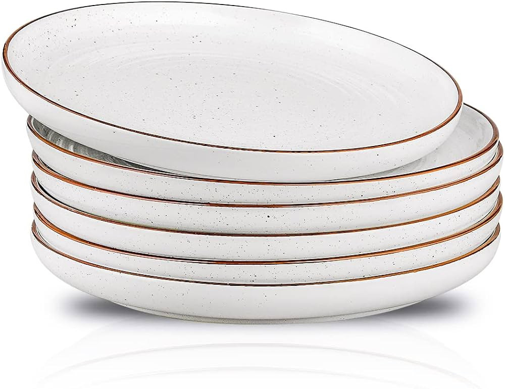 HVH Porcelain Dinner Plates Set of 6, 10.25 inch Ceramic Plates Set, Large Dinner Plates Set for ... | Amazon (US)