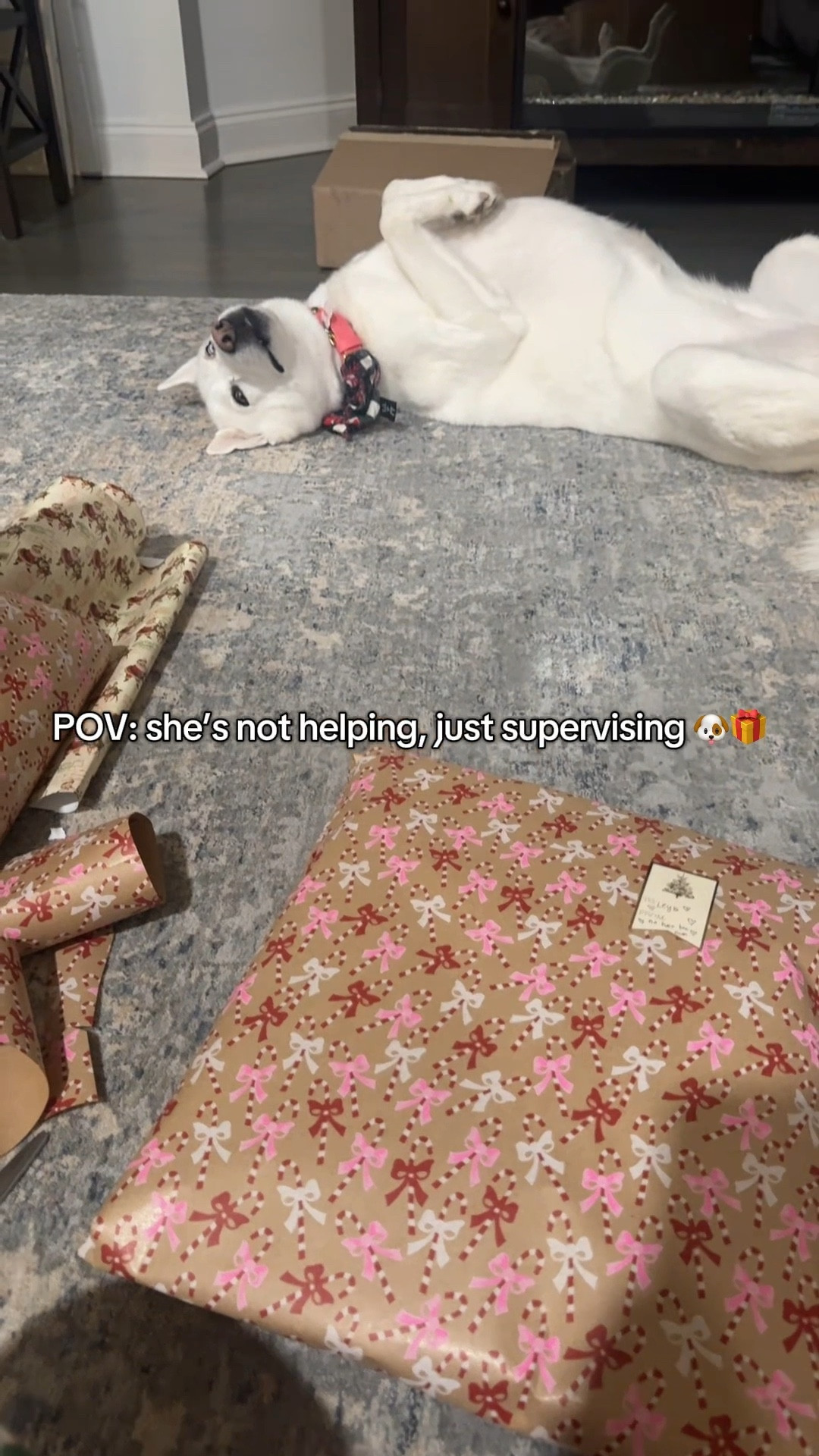 She made sure to include a piece of hair (or hairs) with every gift 🥰🤍

#LTKHome #LTKHoliday #LTKdayinmylife