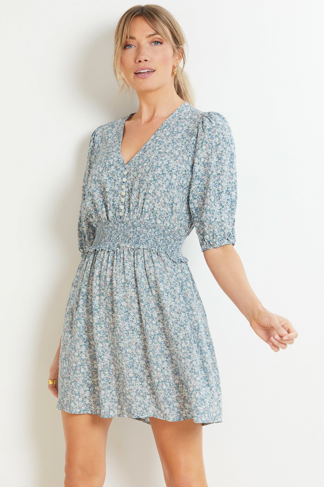 RAILS May Dress | EVEREVE | Evereve