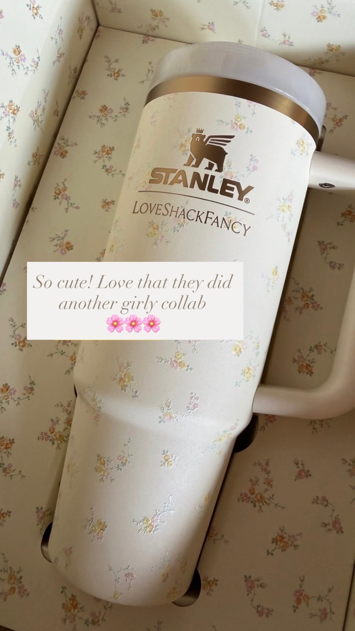 Stanley
Love shack fancy
Trending
Water bottle
Gift ideas

#LTKsummer #LTKtravel #LTKgiftguide