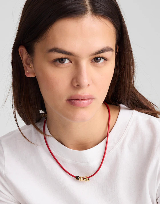 Semiprecious Charm Leather Choker Necklace | Madewell