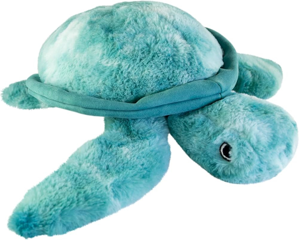 KONG SoftSeas Turtle Sm | Amazon (US)