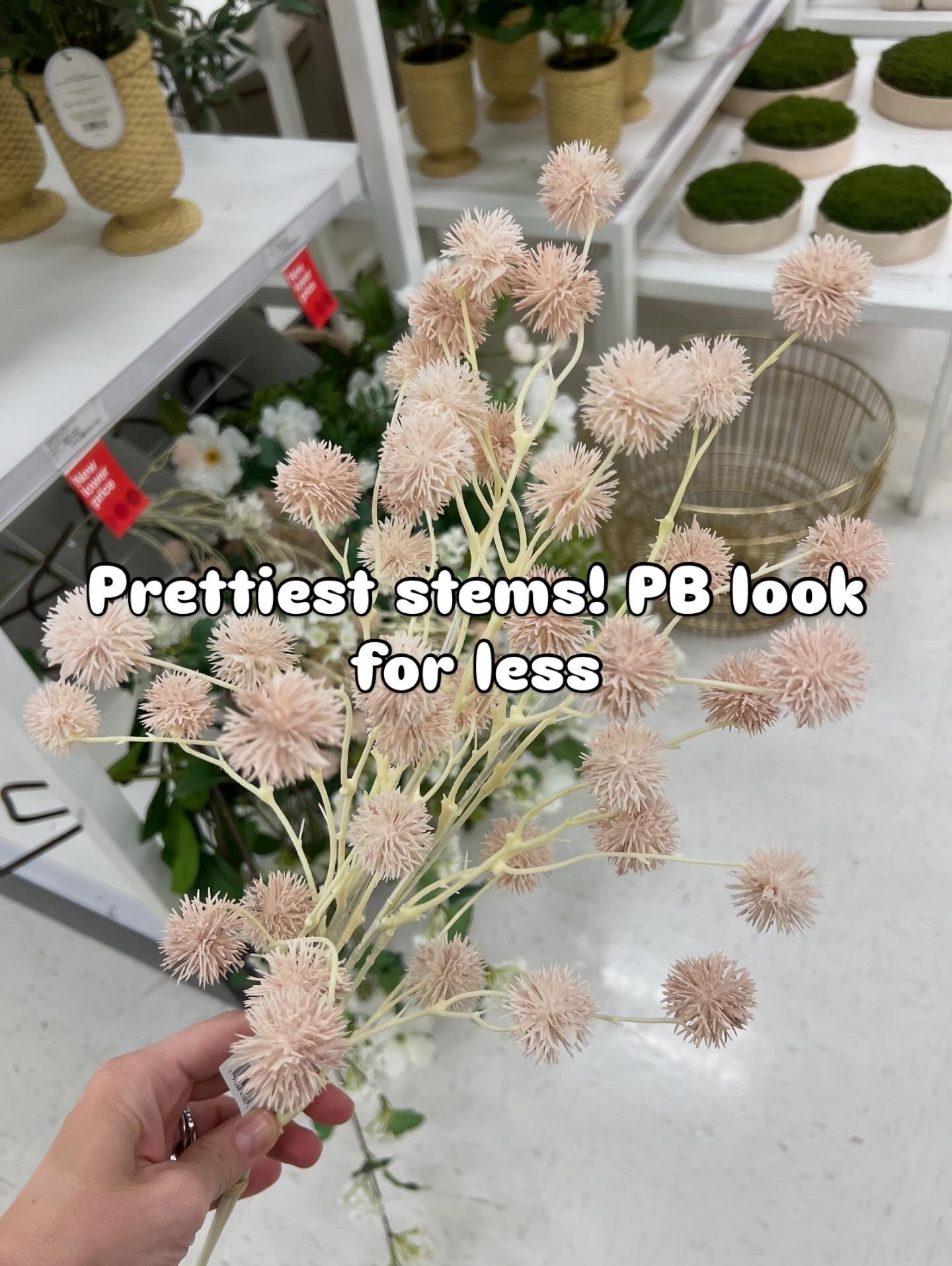 Pom pom style flowers are trending and I love the look! At Target 

#LTKSeasonal #LTKHome