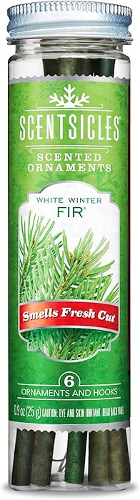 Scentsicles - 04314-024 Scented Christmas Ornaments for Christmas Tree, All Natural Holiday Air F... | Amazon (UK)