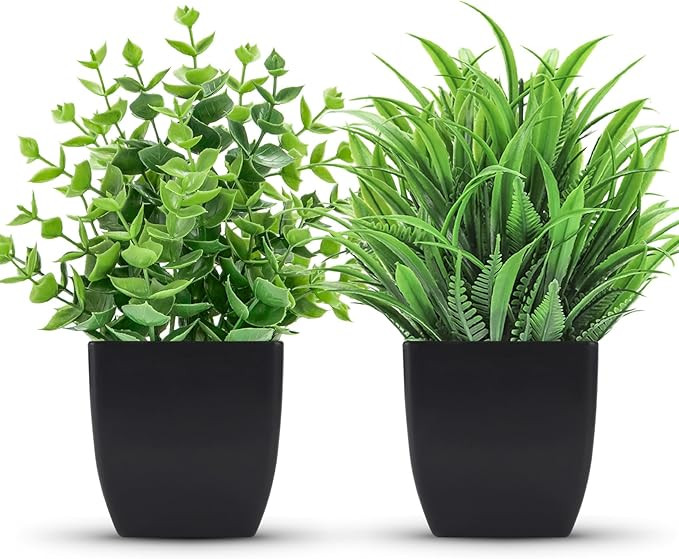 Der Rose 2 Packs Fake Plants Small Artificial Potted Plants Faux Plants in Black Pots for Home Of... | Amazon (US)