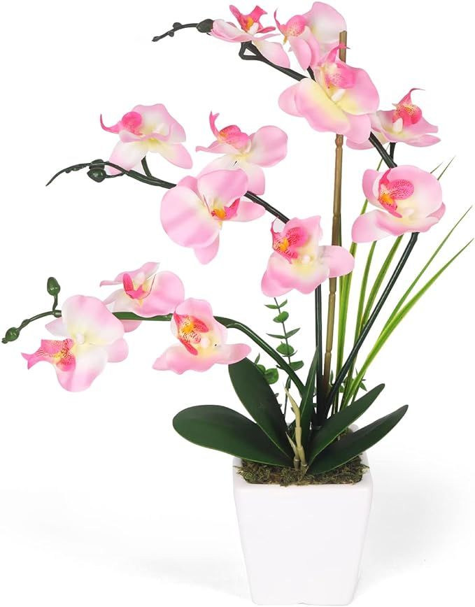 Artificial Orchids Flower in White Ceramic Pot, Silk Phalaenopsis Orchid Flowers, Fake Orchid Flo... | Amazon (US)