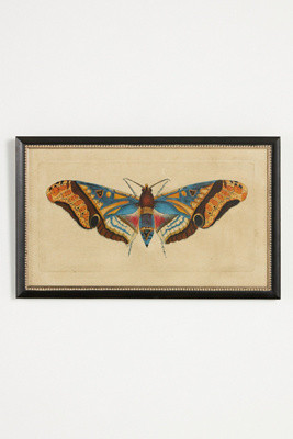 Crackled Moth Wall Art | Anthropologie (US)
