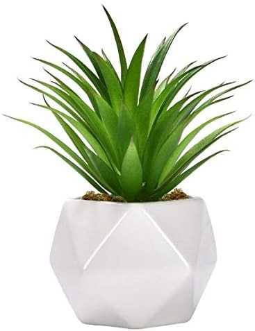 Artificial Succulent Plants, Faux Assorted Green Unpotted Faux Succulent Agave Floral Arrangement... | Amazon (US)